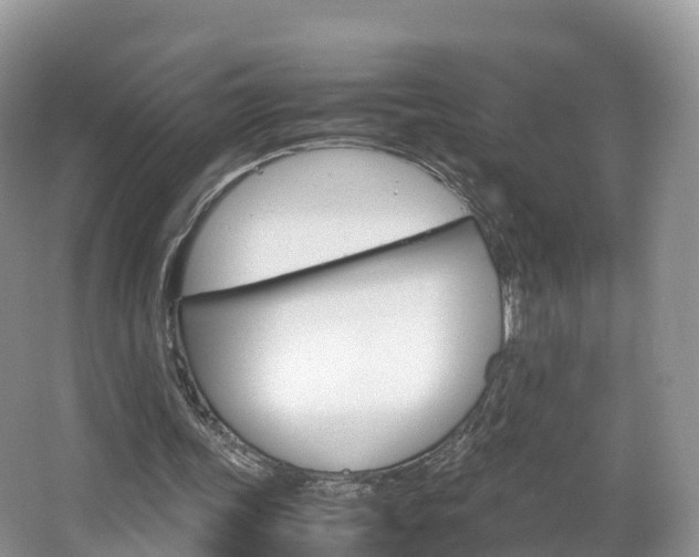 X0000066940339200603240940