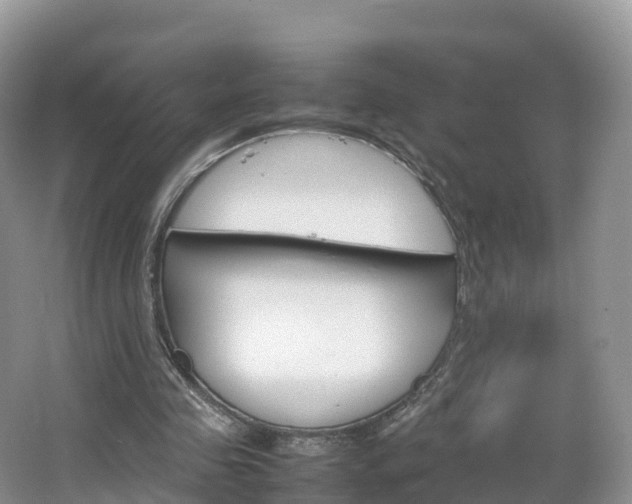 X0000066940341200603240940