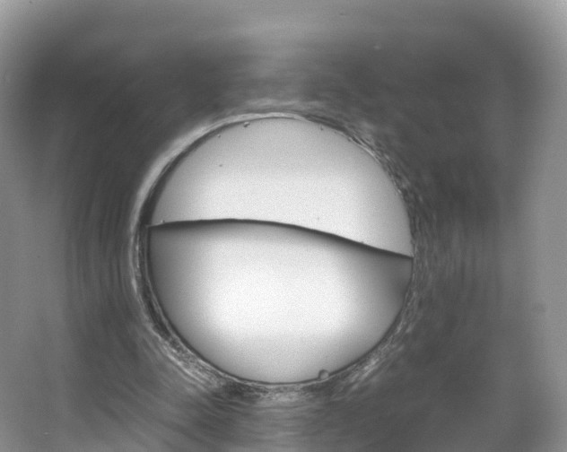 X0000066940342200603240940