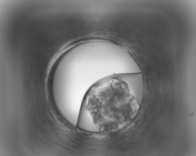 X0000066940343200603240940