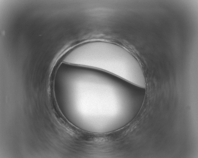 X0000066940344200603240940