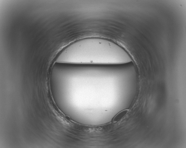 X0000066940345200603240940