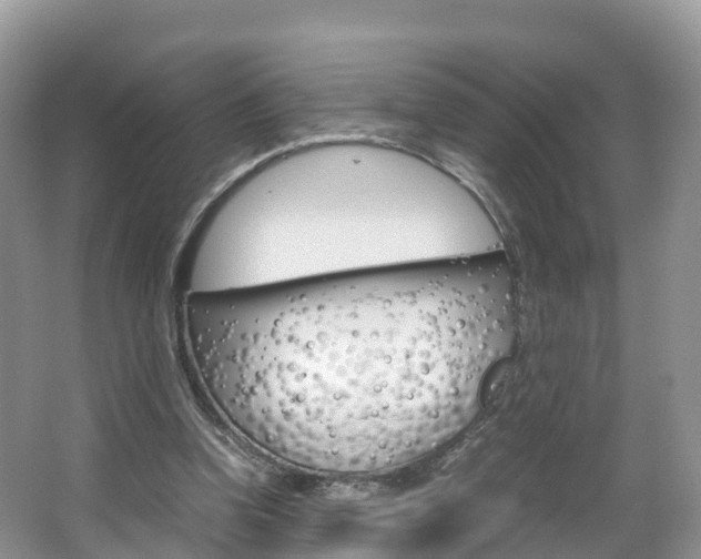 X0000066940346200603240940