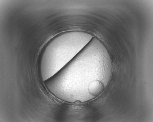 X0000066940347200603240940