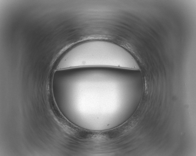 X0000066940348200603240940