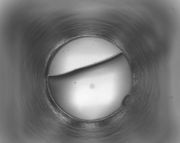 X0000066940349200603240940