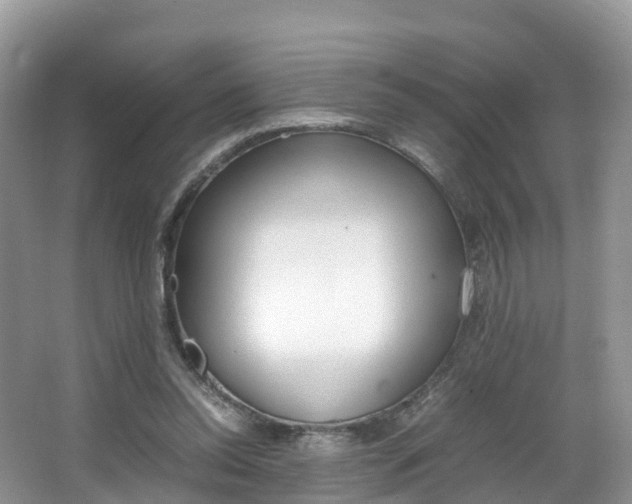 X0000066940350200603240940