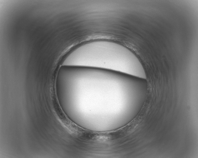 X0000066940352200603240940