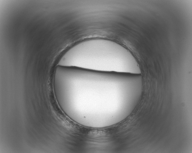 X0000066940354200603240940