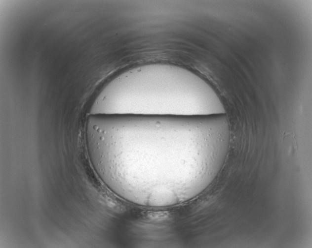 X0000066940355200603240940