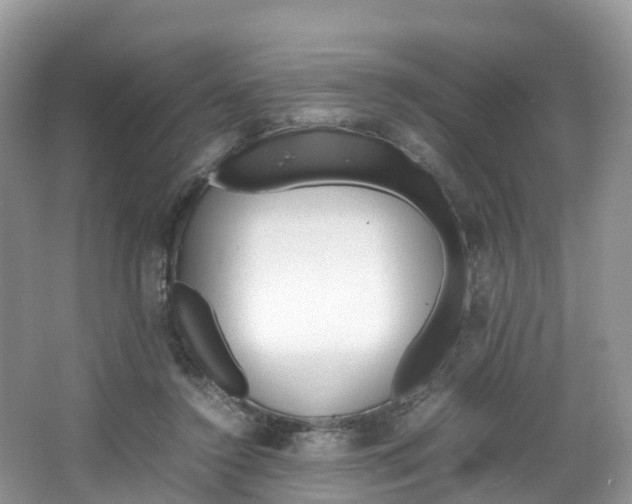 X0000066940356200603240940