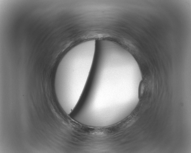 X0000066940358200603240940