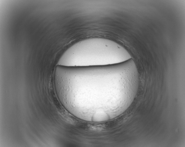 X0000066940359200603240940