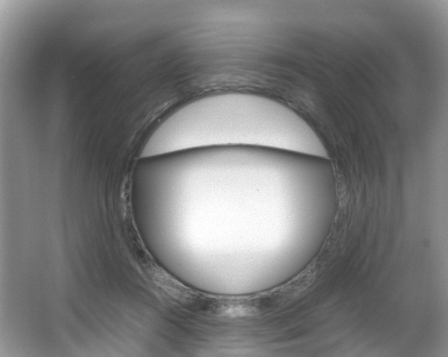 X0000066940360200603240940