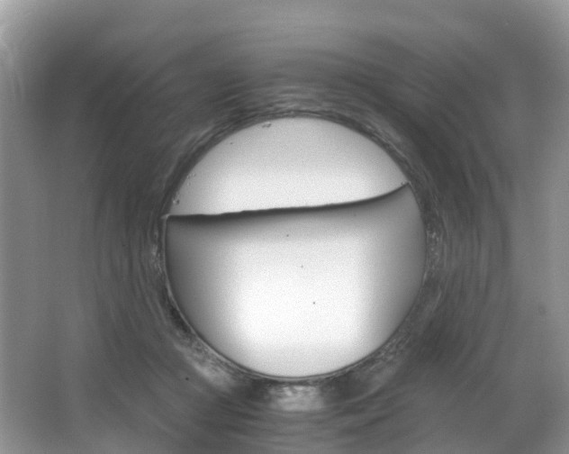 X0000066940361200603240940