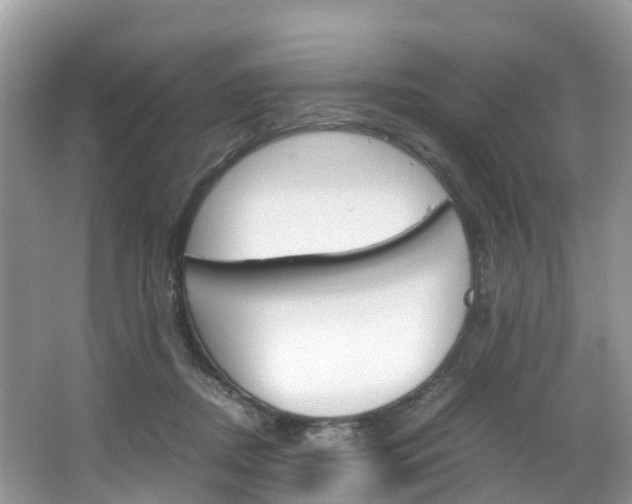 X0000066940362200603240940