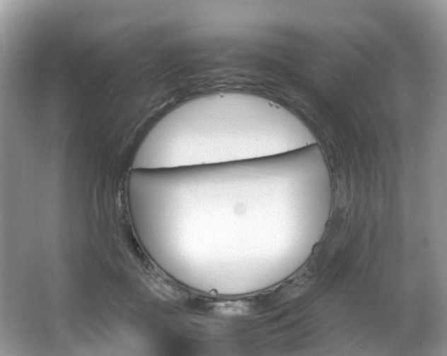 X0000066940363200603240940