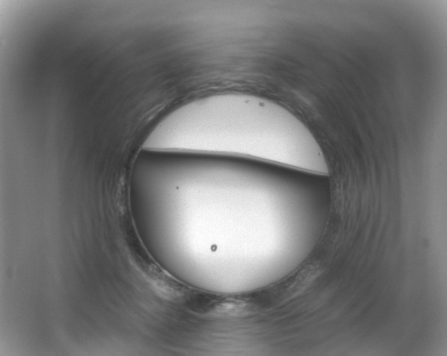 X0000066940364200603240940