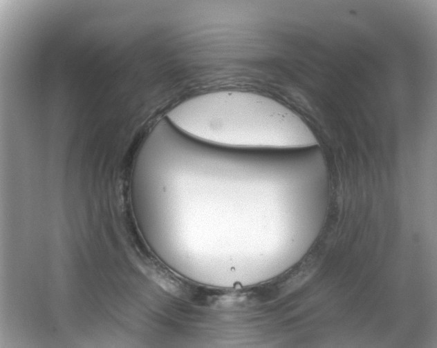 X0000066940366200603240941