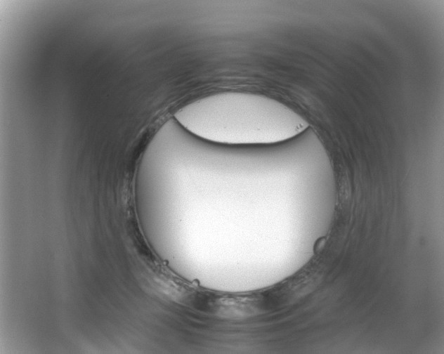 X0000066940367200603240941