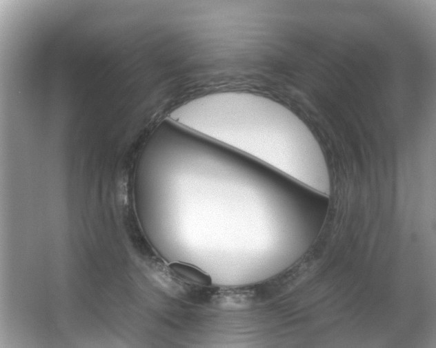 X0000066940368200603240941