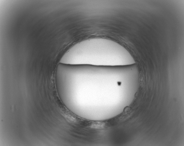 X0000066940369200603240941