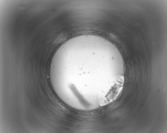 X0000066940370200603240941