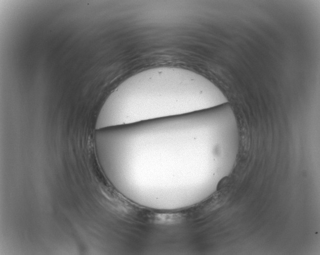 X0000066940371200603240941