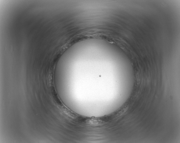 X0000066940372200603240941