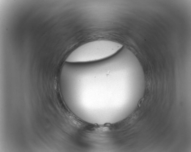 X0000066940374200603240941