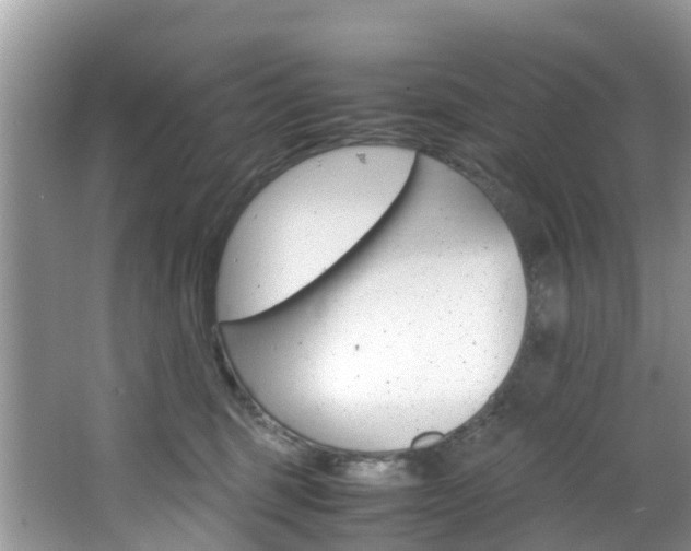 X0000066940375200603240941