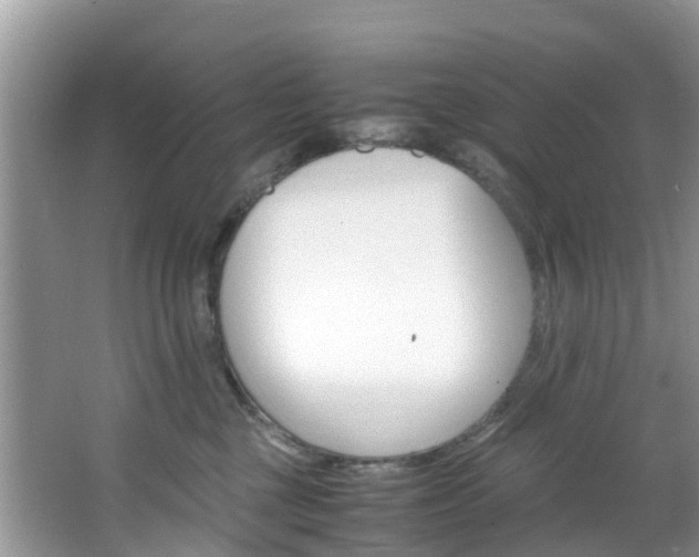 X0000066940377200603240941