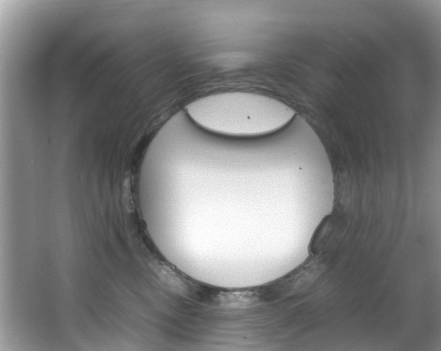 X0000066940378200603240941