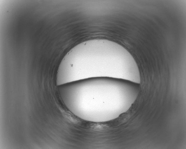 X0000066940379200603240941