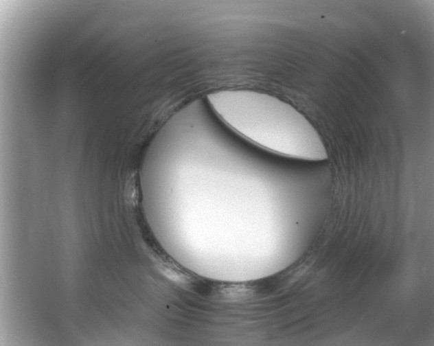 X0000066940383200603240941