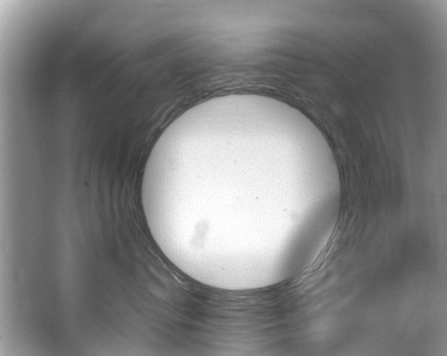 X0000066940384200603240941