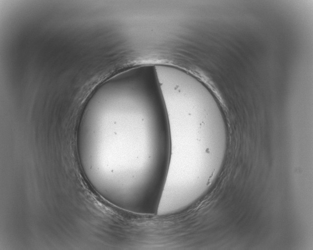 X0000066940385200603240940