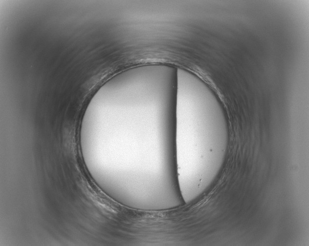 X0000066940386200603240940