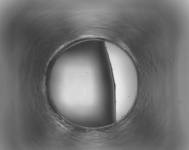 X0000066940387200603240940