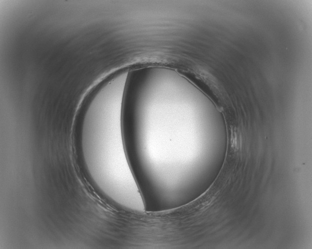 X0000066940388200603240940