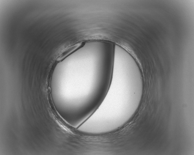 X0000066940389200603240940