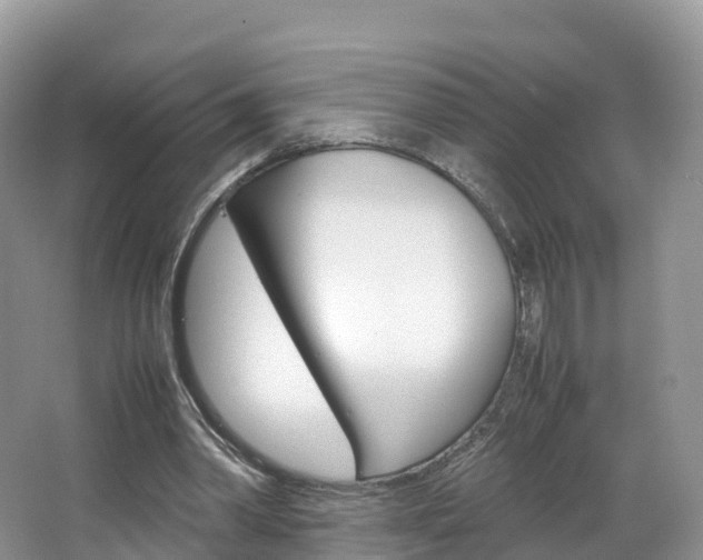 X0000066940390200603240940