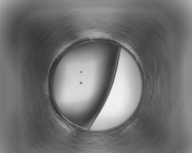 X0000066940391200603240940