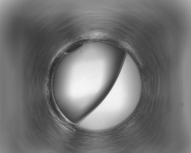 X0000066940392200603240940