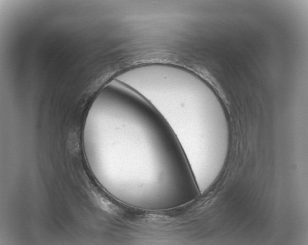 X0000066940393200603240940