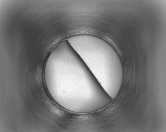 X0000066940394200603240940