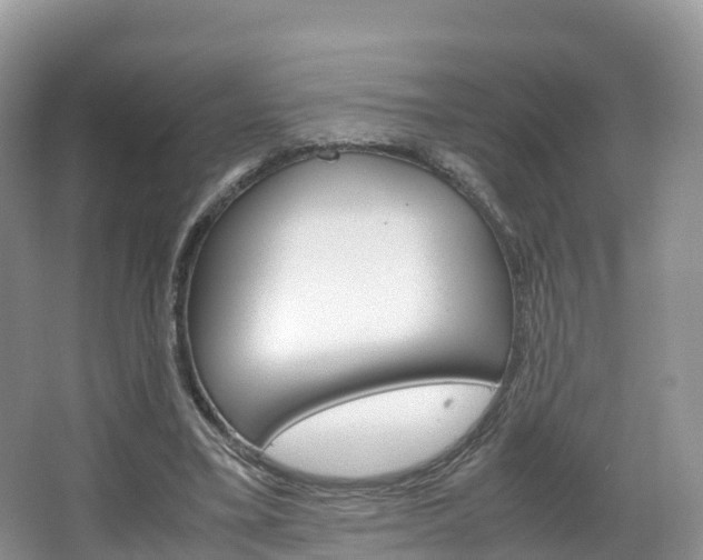 X0000066940395200603240940