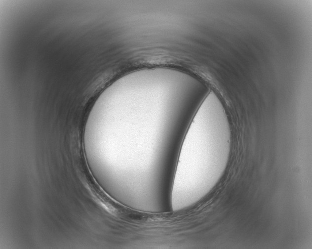 X0000066940397200603240940