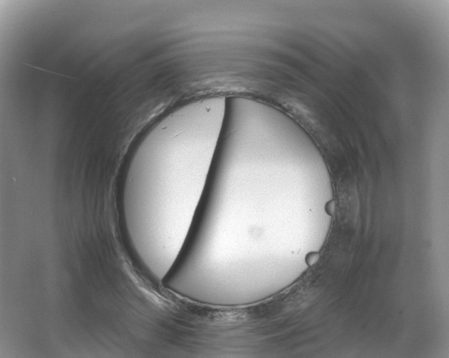 X0000066940398200603240940