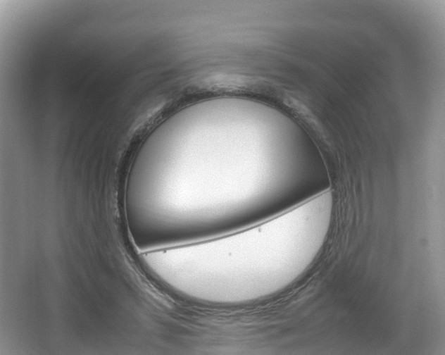 X0000066940399200603240940